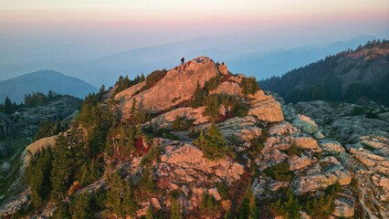 Aerial view of a beautiful forest near the mountains in BC, Canada