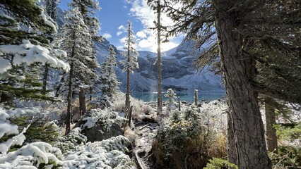 Snow-covered trees and clear lake water with mountains in  Joffre Lakes Provincial Park