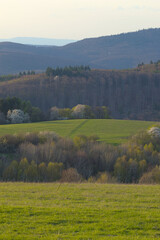 meadows, forests and trees under a blue sky