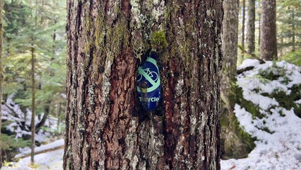 No bicycle sign on a tree bark in the Cypress Provincial Park in West Vancouver, BC, Canada.