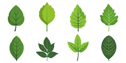 set illustration of green leaf icon isolated on white background
