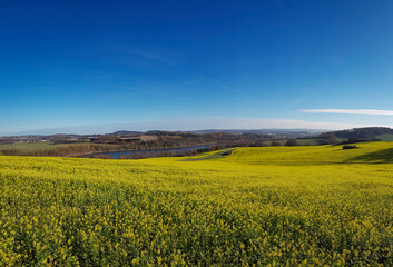 Scenic view of a green open field under a cloudy blue sky on a sunny day