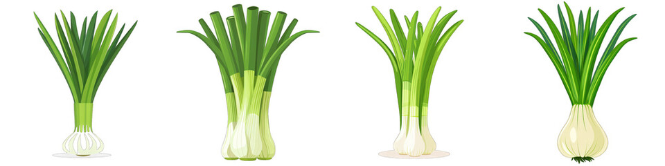 Leeks  2d Icon In Water Colour Hyperrealistic Highly Detailed Isolated On Transparent Background Png