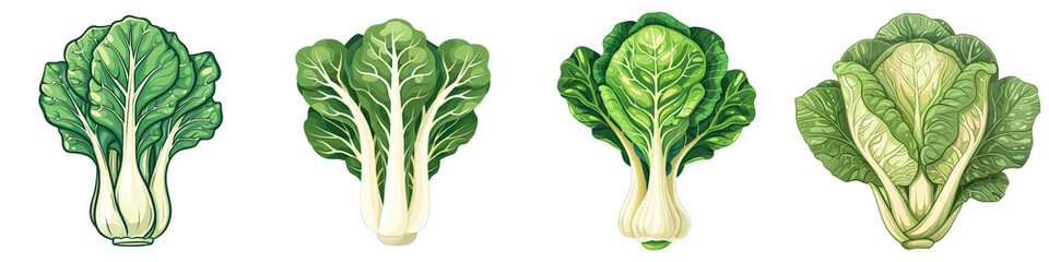 Bok Choy  2d Icon In Water Colour Hyperrealistic Highly Detailed Isolated On Transparent Background Png