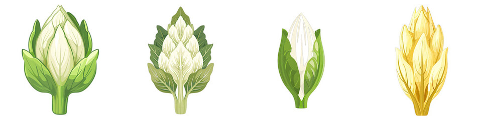 Endive  2d Icon In Water Colour Hyperrealistic Highly Detailed Isolated On Transparent Background Png - obrazy, fototapety, plakaty