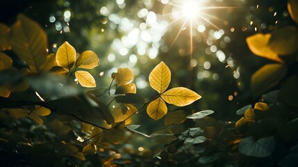 Sunset Sonata on Leaves. Sunset light  the leaves,  warm autumn - obrazy, fototapety, plakaty