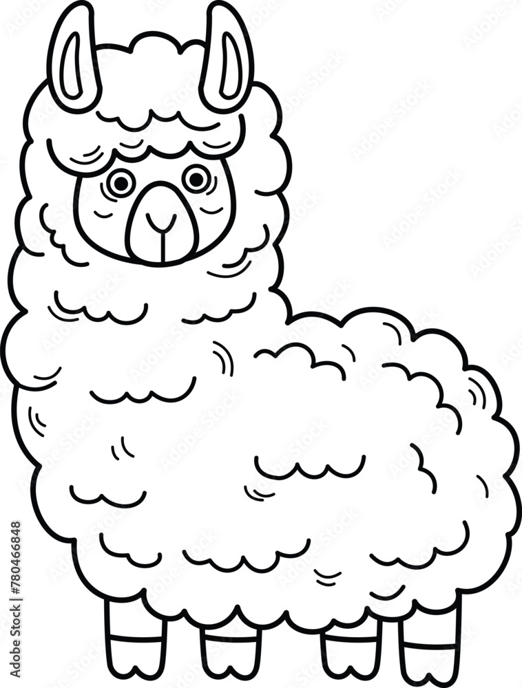 Wall mural Hand drawn alpaca character illustration, vector