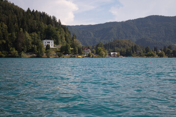 Fototapeta premium rowing on lake Bled, Slovenia