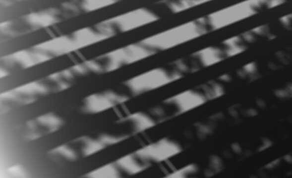 Shadow gobo lighting with transparency. Window light background design element