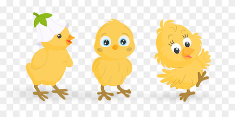 Fototapeta premium Easter chick. Chick character set isolated on png backgraund. Cute chick, spring festive animal concept. Cartoon holiday vector character