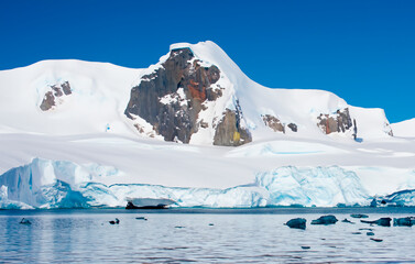 Antarktis Meer Eisberge Gebirge - 780476691