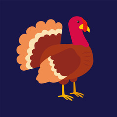 Turkey vector illustration in flat style on dark blue background. Thanksgiving turkey icon.