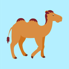 Camel vector illustration in flat design style. Camel isolated on blue background.