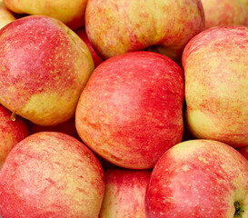 Agriculture, farming and apple harvest for organic nutrition closeup from above in spring season. Food, fresh and produce with red fruit in garden or orchard for natural diet, nutrition or wellness