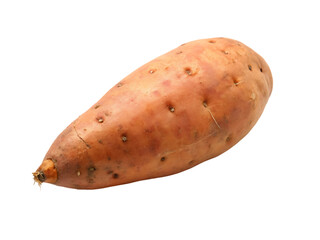 sweet potato