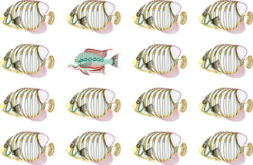Vector sketch illustration design background art image of sea fish lined up neatly with smugglers