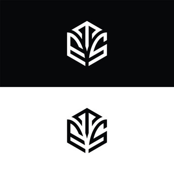 Initial letter TES hexagon logo design, flourish, develop, natural, luxury, simple, finance logo, real estate.