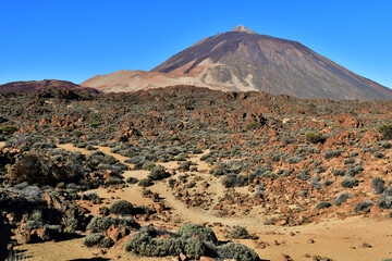 Tenerife, Canary Islands - march 15 2024 : Teide National Park
