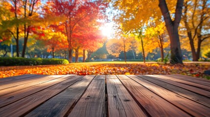 Naklejka na ściany i meble Beautiful colorful natural autumn background. Wooden flooring on the background of a blurred autumn park