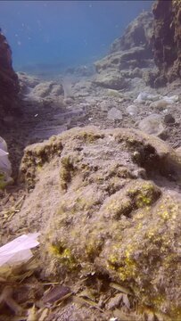 Vertical video, Seafloor covered with wery many of plastic debris in crevice between cliffs polluting Mediterranean Sea, slow motion