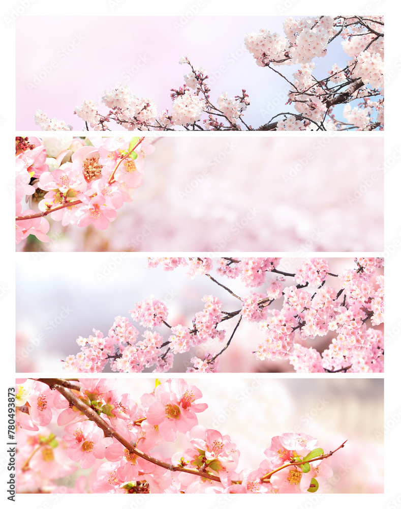 Poster set of horizontal banner with sakura flowers of white and pink colors. collection of beautiful natur