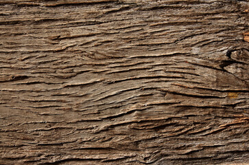 Horizontal or vertical natural background with tree bark texture. Close-up tree trunk texture of  brown color