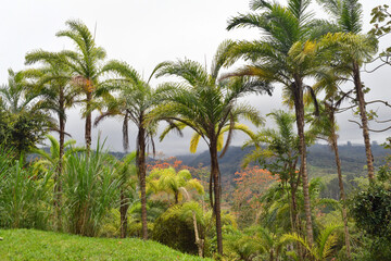 Fototapeta na wymiar Landscape in the Turrialba region of Costa Rica