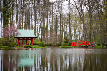 Ogród w stylu Japońskim w Parku Pałacu - obrazy, fototapety, plakaty