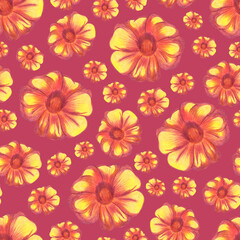Marigold Flower Seamless Pattern. Hand Drawn Floral Digital Paper on Red Background.