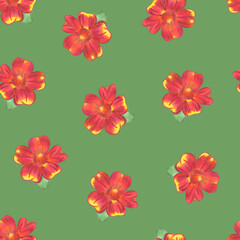 Marigold Flower Seamless Pattern. Hand Drawn Floral Digital Paper on Green Background.
