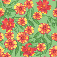 Marigold Flower Seamless Pattern. Hand Drawn Floral Digital Paper on Green Background.