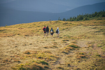 group of hikers in the mountains - 780509011