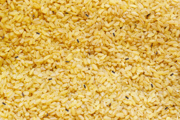 Food grain with weevil insect