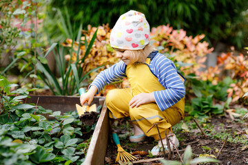 Adorable little toddler girl working with shovel in domestic garden. Cute child learn gardening, planting and cultivating vegetables in domestic garden. Kid with garden tools. Ecology, organic food.