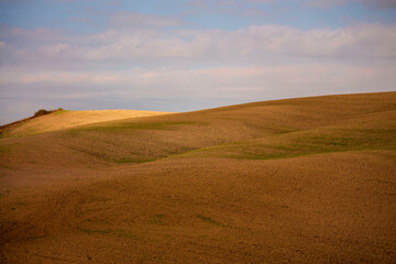Fototapeta na wymiar Rural landscape of Tuscany in Val d'Orcia