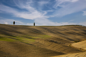 Fototapeta premium Rural landscape of Tuscany in Val d'Orcia