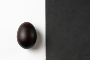 black egg and white background