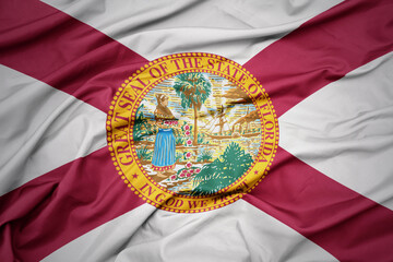 big waving national flag of florida state. macro shot
