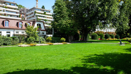 Fototapeta na wymiar Park with green grass with trees and buildings