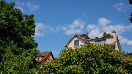 Houses with trees in a village