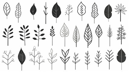 set, collection of simple leaves and branches isolated on a white background, minimalism flat graphics for design, black and white style