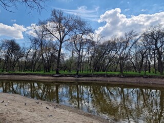 river bank in spring in a park in Ukraine