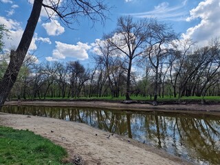river bank in spring in a park in Ukraine