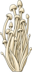 Magic magic inedible mushroom illustration