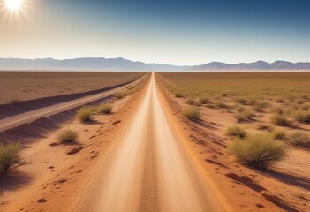 Fototapeta na wymiar Journey Through Life: A Straight Road in an Empty Desert