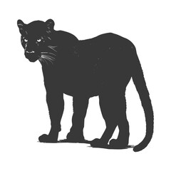 Obraz premium Silhouette panther animal black color only full body