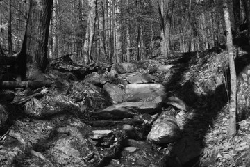 Marais Kingsbury Éclipse 8 Avril 2024 -  N&B