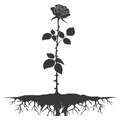 Silhouette rose flower in the ground black color only