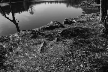 Marais Kingsbury &Eacute;clipse 8 Avril 2024 -  N&B