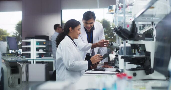 Indian Male Medical Supervisor Having a Conversation with a Hispanic Female Scientist About a Gene Editing Research Project, Technology and Experiments. Smart Diverse Team Working in a Laboratory